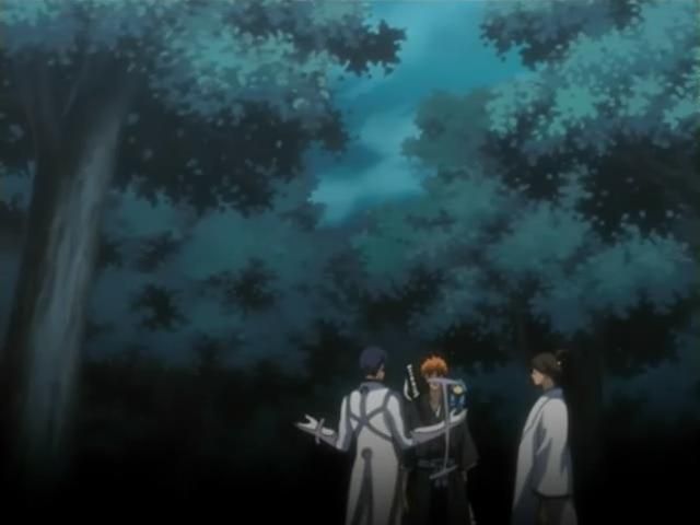 Otaku Gallery  / Anime e Manga / Bleach / Screen Shots / Episodi / 097 - Hitsugaya si muove - Taglia il nemico nella foresta / 145.jpg